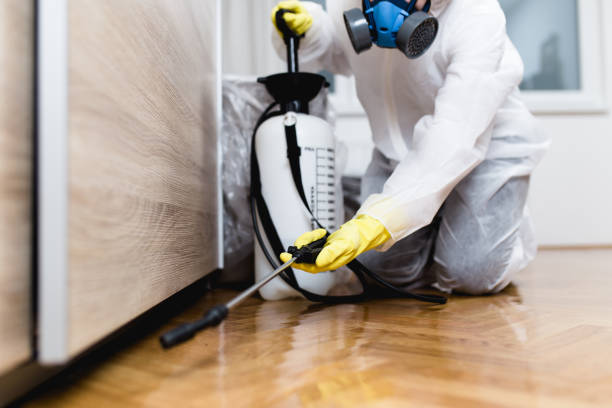 Best Rat Extermination Near Me  in Doral, FL