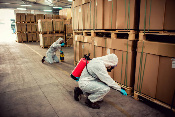 Best Pest Control for Restaurants  in Doral, FL