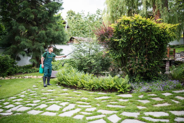 Best Affordable Pest Control Services  in Doral, FL