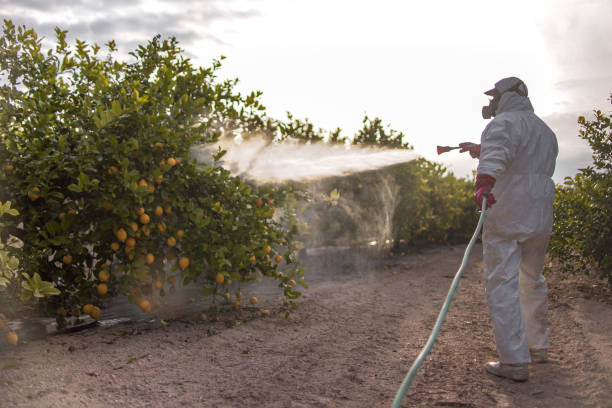Best Best Pest Control Companies  in Doral, FL