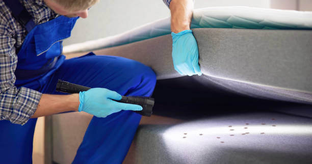 Best Commercial Pest Control Services  in Doral, FL