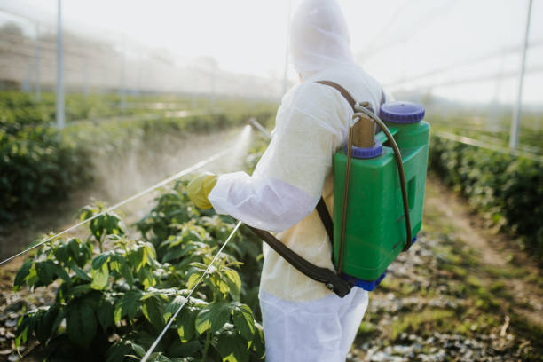 Best Pest Inspection Near Me  in Doral, FL